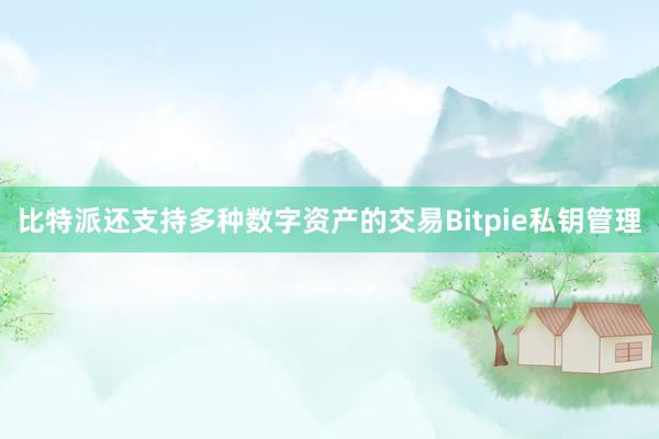 比特派还支持多种数字资产的交易Bitpie私钥管理