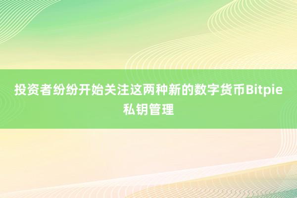 投资者纷纷开始关注这两种新的数字货币Bitpie私钥管理