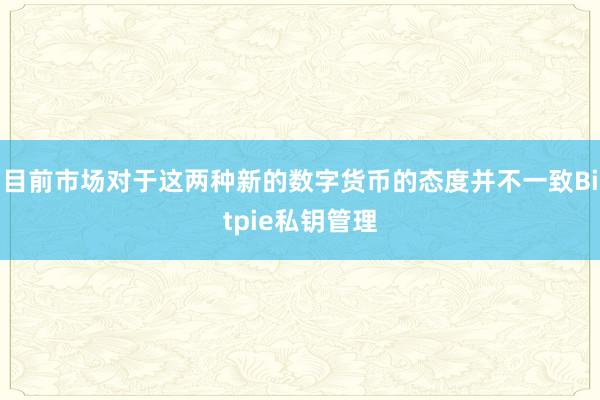 目前市场对于这两种新的数字货币的态度并不一致Bitpie私钥管理