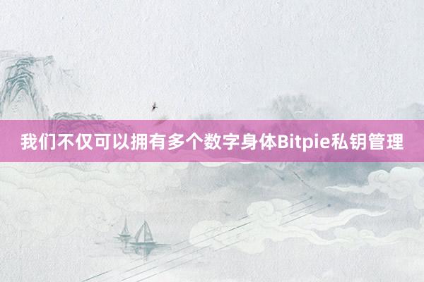 我们不仅可以拥有多个数字身体Bitpie私钥管理