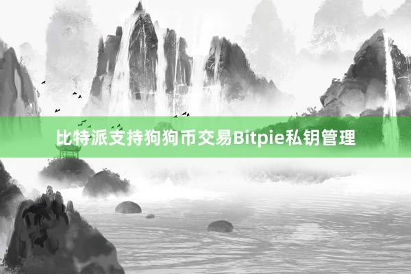 比特派支持狗狗币交易Bitpie私钥管理