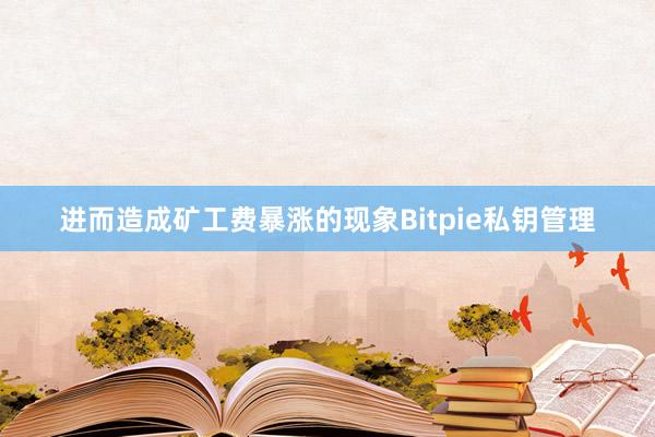 进而造成矿工费暴涨的现象Bitpie私钥管理