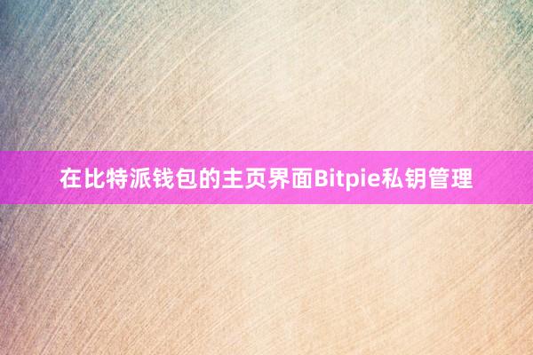 在比特派钱包的主页界面Bitpie私钥管理