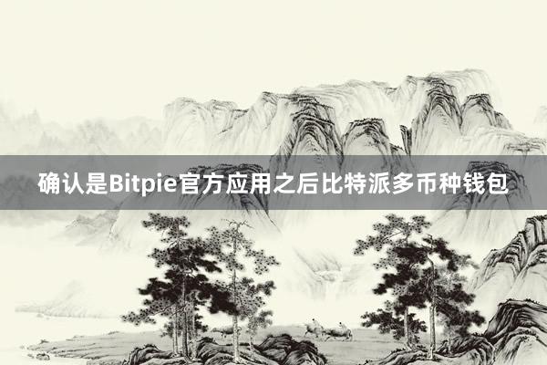 确认是Bitpie官方应用之后比特派多币种钱包