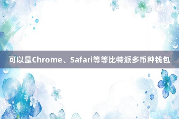 可以是Chrome、Safari等等比特派多币种钱包