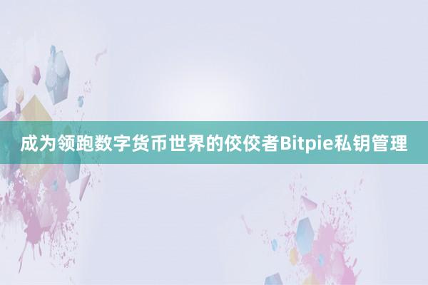 成为领跑数字货币世界的佼佼者Bitpie私钥管理