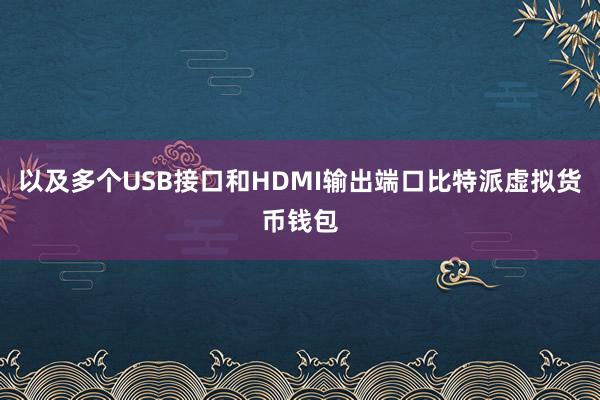 以及多个USB接口和HDMI输出端口比特派虚拟货币钱包