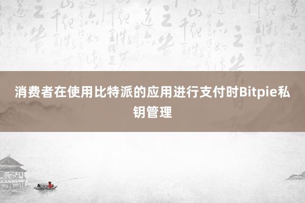 消费者在使用比特派的应用进行支付时Bitpie私钥管理