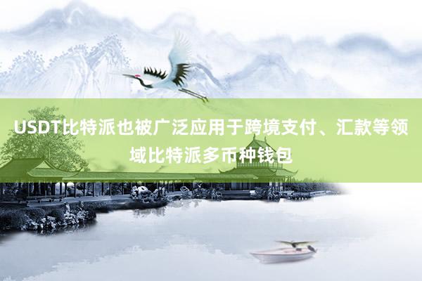 USDT比特派也被广泛应用于跨境支付、汇款等领域比特派多币种钱包