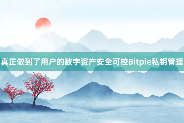 真正做到了用户的数字资产安全可控Bitpie私钥管理