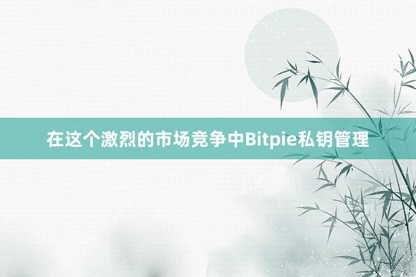 在这个激烈的市场竞争中Bitpie私钥管理