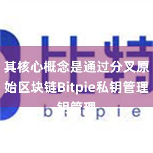 其核心概念是通过分叉原始区块链Bitpie私钥管理