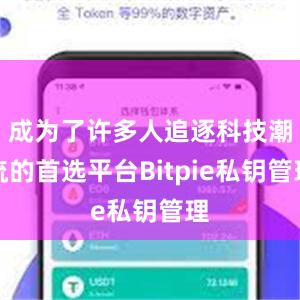 成为了许多人追逐科技潮流的首选平台Bitpie私钥管理