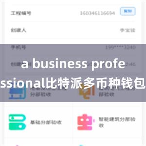 a business professional比特派多币种钱包